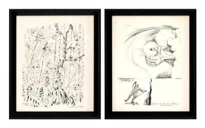  André MASSON (1896-1987) Palper le sein de l'espace / Jungle Paire de gravures en... Gazette Drouot