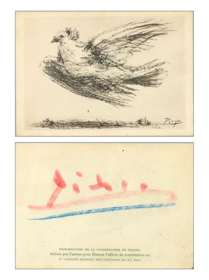  Pablo PICASSO (1881-1973), d’après. Colombe en vol. Carte postale en noir. Signé... Gazette Drouot