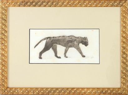  Théophile-Alexandre STEINLEN (1859-1923) Chat en marche Encre brune sur papier Monogrammé... Gazette Drouot