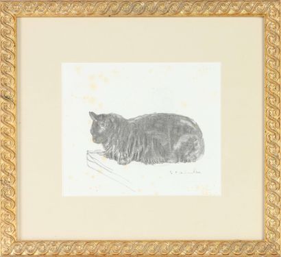  Théophile-Alexandre STEINLEN (1859-1923) Le chat Fusain sur papier Signé en bas... Gazette Drouot