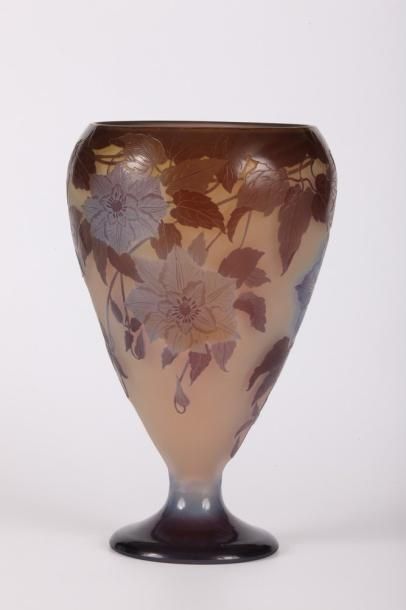 Émile GALLÉ (1846-1904) Vase de forme ouverte sur piédouche en verre gravé à l'acide...