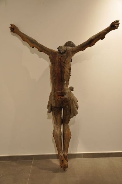 null Important Christ en bois sculpté et polychromé. Tête inclinée sur l’épaule droite,...