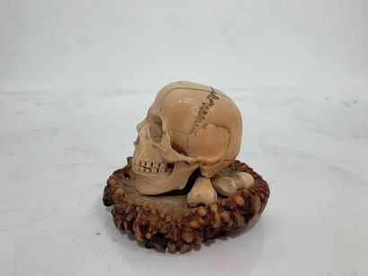null Vanité

Tête de mort reposant sur des ossements en ivoire sculpté reposant sur...