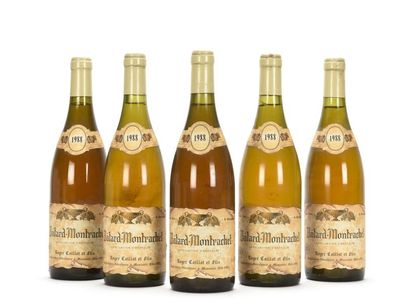 5 bouteilles BÂTARD-MONTRACHET (Grand Cru)...