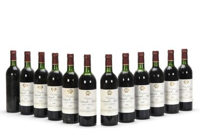 12 bouteilles CHÂTEAU SOCIANDO MALLET (Caisse...