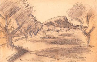 null Auguste CHABAUD (1882-1955)

Paysage aux oliviers.

Crayon.

Signé en bas à...