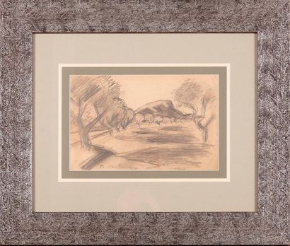 null Auguste CHABAUD (1882-1955)

Paysage aux oliviers.

Crayon.

Signé en bas à...