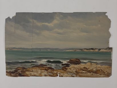 null François GAUTIER (1842-1917)

Coastline. 1903

Oil on paper

Misses and accidents

Signed...