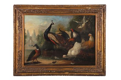 null FLEMISH SCHOOL circa 1750, follower of Pieter III CASTEELS

Ducks and birds...
