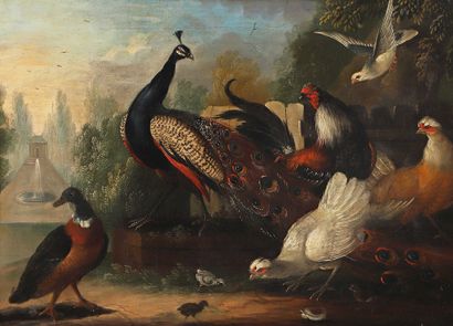 null FLEMISH SCHOOL circa 1750, follower of Pieter III CASTEELS

Ducks and birds...