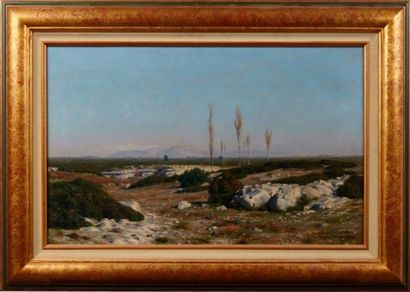 null Johan Peter Wildenradt (1861-1904)

Paysage

Huile sur toile

Signée, située...