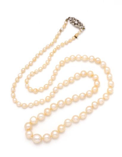 Collier de 100 perles baroque disposées en...