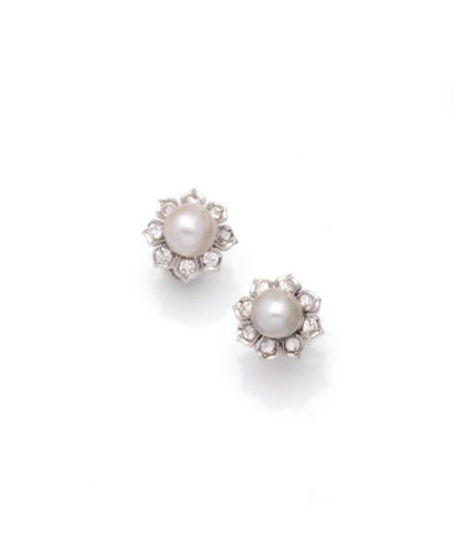 null Paire de puces d'oreille en or gris 18K (750/1000) représentant une marguerite...