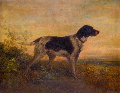 Anton BURGER (1824-1905) 
Le chien 
Huile sur toile Signée en bas à droite 54 x...