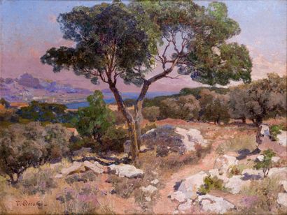 null Théophile DECANIS (1847-1917)

Paysage sur les hauteurs de Marseille

Huile...