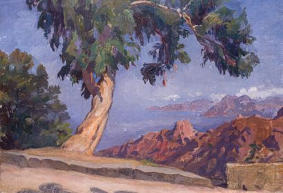 null Raymond Jean VERDUN (1873-1954)

Bord de côte Corse

Huile sur toile

Signée...