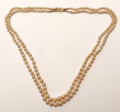 null Necklace with double row of pearls arranged in fall.

Ratchet clasp with guilloche...