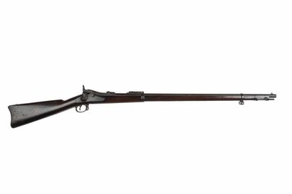 Fusil à tabatière modèle 1884, calibre 45-70

Canon...
