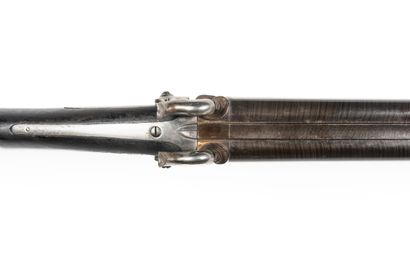 null Rifle with percussion of the Corsican voltigeurs, two shots.

Barrels in table...