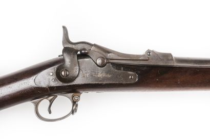 null Fusil à tabatière modèle 1884, calibre 45-70

Canon rond ave hausse. Tabatière...