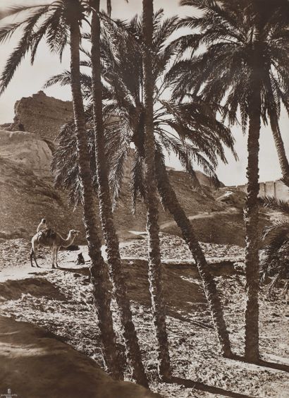 null LEHNERT LANDROCK (XIX-XX)

Oasis en Tunisie, c. 1920

2 tirages argentiques...