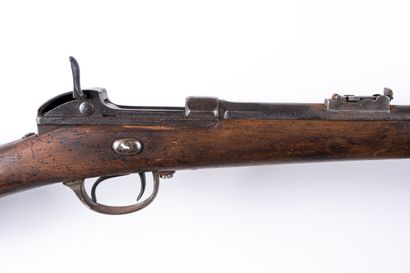 null Werder rifle model 1869, calibre 11 mm. 

Round barrel, with sides with rise....