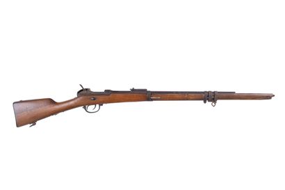 Bavarian rifle Werder model 1869. 

In the...
