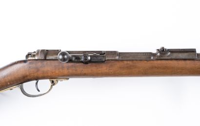 null Fusil Gewehr 1871 transformé en carabine, calibre 11 mm. 

Canon rond avec hausse...
