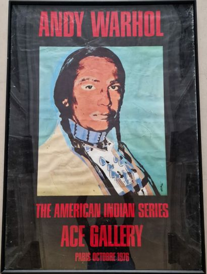 The American indian series 
Ace Gallery 
Andy...