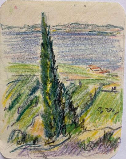 null René SEYSSAUD (1866-1952)

Cyprés au bord de l'étang de berre

Crayon de couleur...