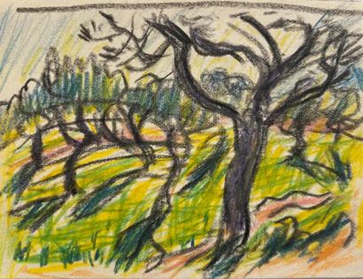 null René SEYSSAUD (1866-1952)

Paysage aux oliviers

Crayon de couleur sur papier

Cachet...