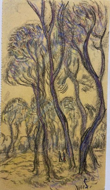 René SEYSSAUD (1866-1952)

Walk in the pines

Colored...