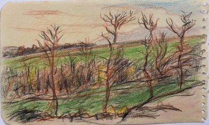 null René SEYSSAUD (1866-1952)

Paysage des alpilles

Crayon de couleur sur papier

Cachet...