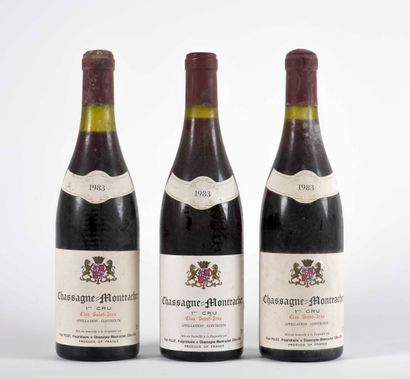 null 3 B CHASSAGNE-MONTRACHET CLOS SAINT-JEAN Rouge (1er Cru) (e.l.s.)

Domaine Paul...