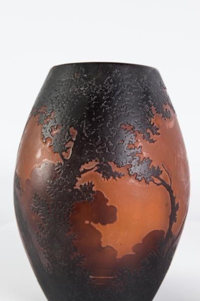 null Muller

Vase de forme ovoïde en verre gravé à l’acide à décor de paysage lacustre...