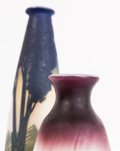 null D’ARGENTAL

Vase de forme ovoïde à petit col en verre gravé à l’acide à décor...