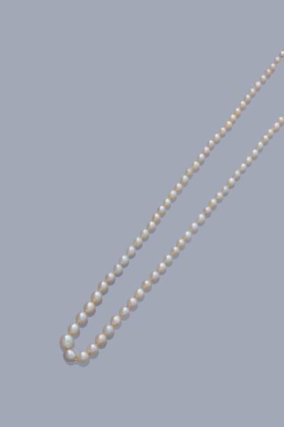 null Collier de perles fines, fermoir navette en or deux tons 18K 750% serti d'un...