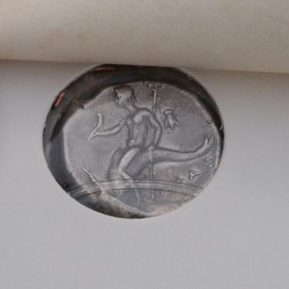 null Monnaie Grecque, Calabre, Tarente (272 - 235 av. J.C.)

Statère argent.

Av.:...