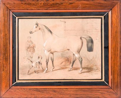null Victor ADAM (1801-1866) 

Portrait de chevaux dans l’écurie. Dessin.?Signée...