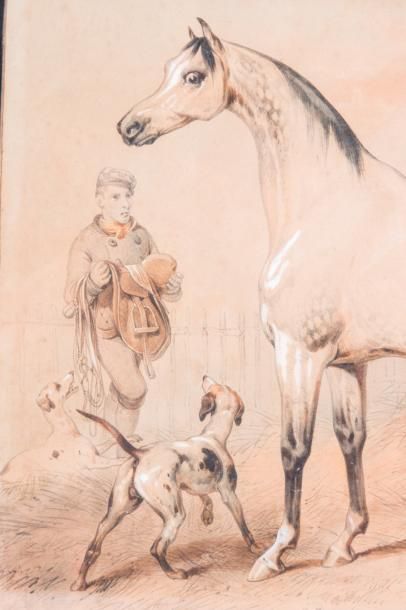 null Victor ADAM (1801-1866) 

Portrait de chevaux dans l’écurie. Dessin.?Signée...