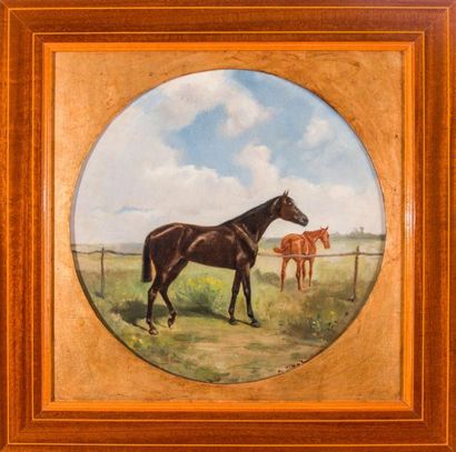 null Auguste VIMAR (1851-1916) 

Portrait de chevaux. Huile sur panneau rond. Signée...