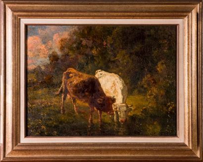 null François MAURY (1861-1933) 

Vaches s’abreuvant. Huile sur panneau. Signée en...