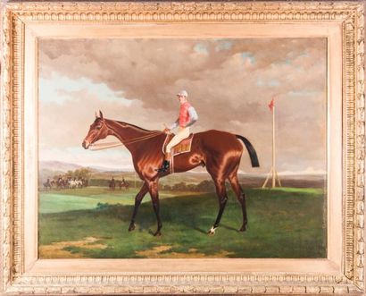 null Ecole anglaise du XIXème siècle 

Portrait de cheval et son jockey. Huile sur...
