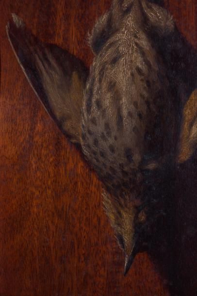 null V. PERRET (XIX) 

Nature morte à l’oiseau. Huile sur bois.?Signée en bas à droite....