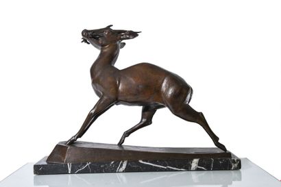 null Maurice Prost (1894-1967) Gazelle tétracère Sujet en bronze à patine brune sur...