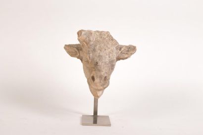 null Tête de taureau Fragment de statue représentant la tête d’un taureau traitée...