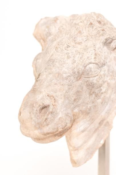 Tête de taureau Fragment de statue représentant la tête d’un taureau traitée de...