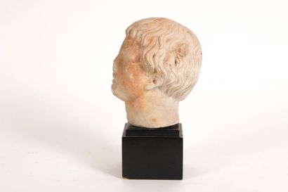  Portrait de patricien Tête de statue représentant un jeune homme, les cheveux coiffés...
