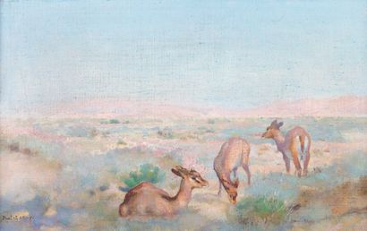 Paul Alexandre A. LEROY (1860-1942) Gazelles...
