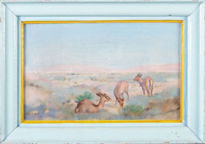 null Paul Alexandre A. LEROY (1860-1942) Gazelles dans le désert. Huile sur toile....